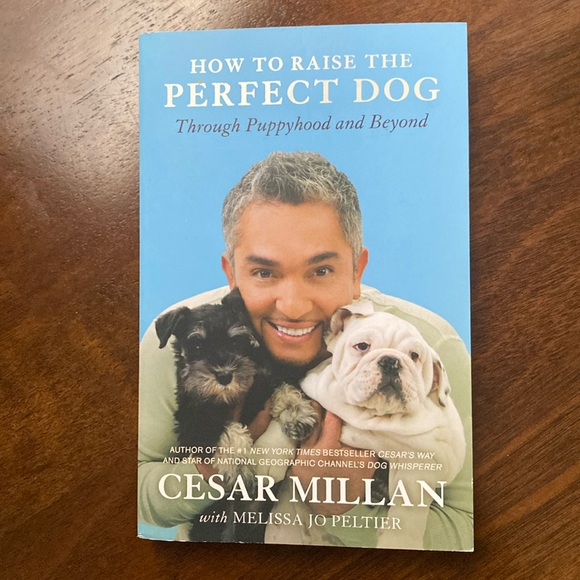 How to raise the perfect dog book - Picture 1 of 4